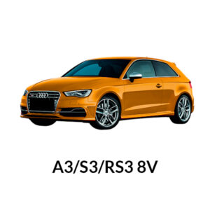 A3/S3/RS3 8V